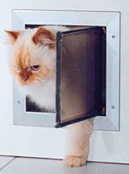 Plexidor-Katzent&uuml;r